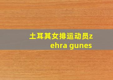 土耳其女排运动员zehra gunes